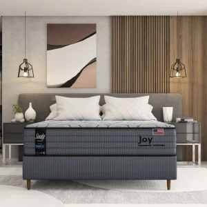 Colchão Sealy Joy (193 x 203)